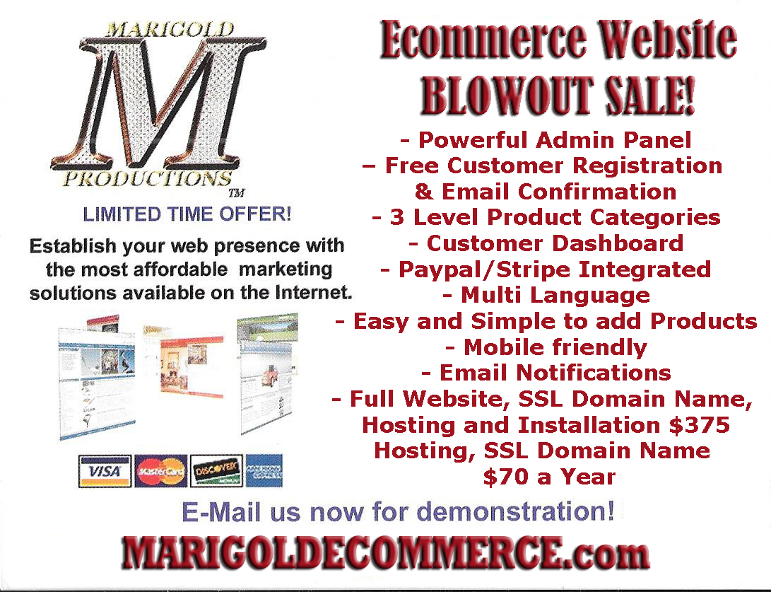 Get Your Ecommerce Website